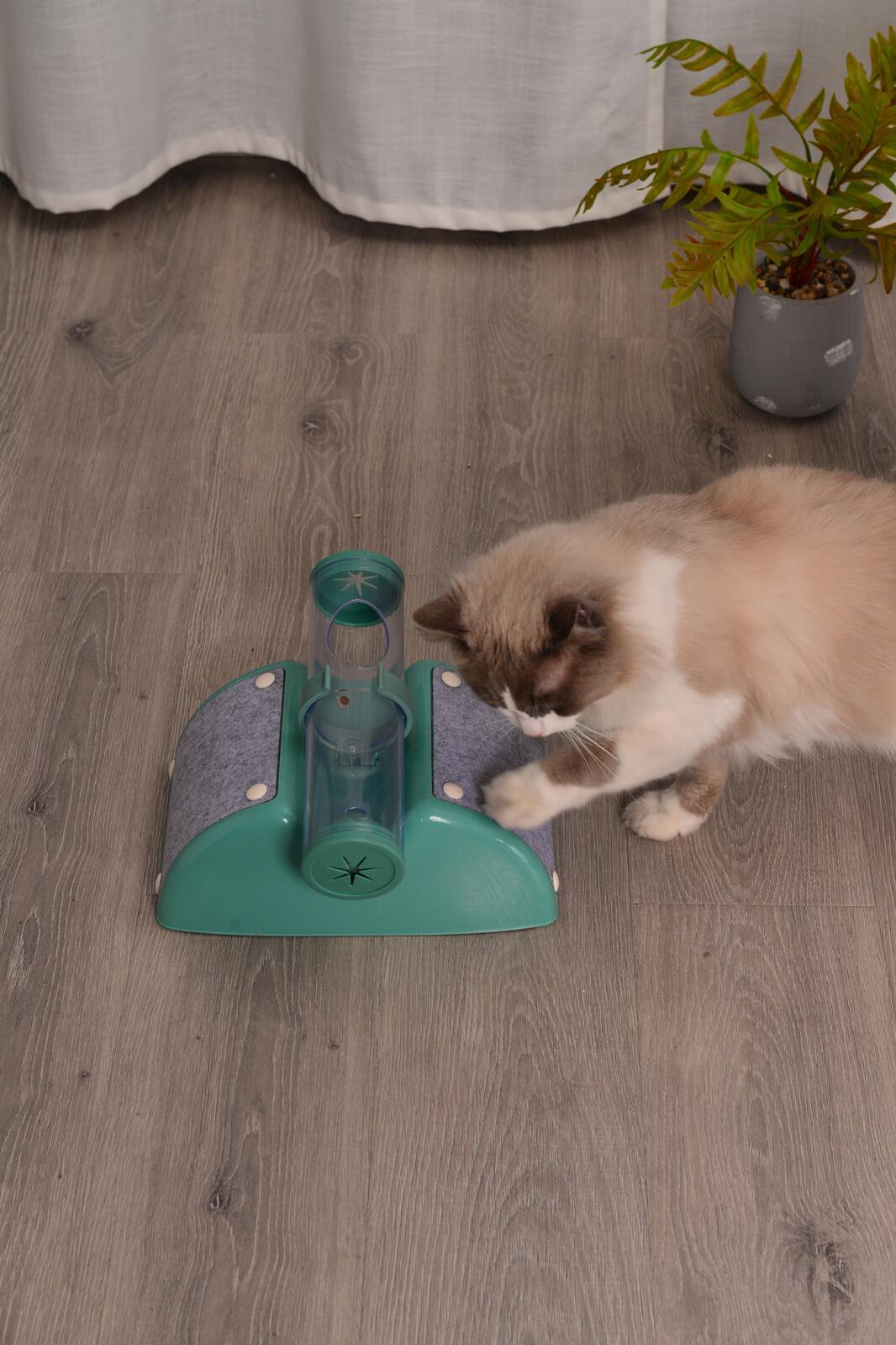 🐱 Cat Play Box Kit