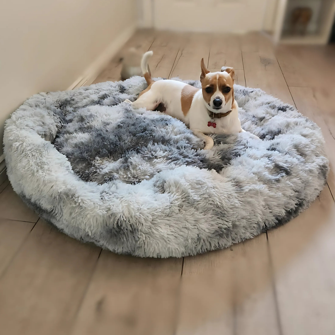 Soft and comfortable pet bed with plush cushioning, ideal for cats and dogs to relax and nap