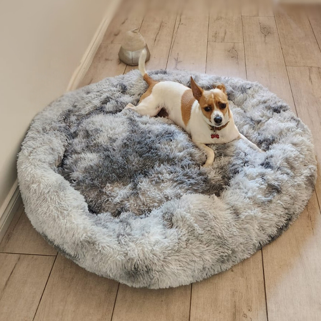 Plush pet bed providing cozy support for cats and dogs, perfect for restful naps and lounging Gray