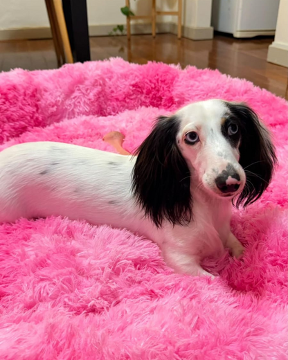 Pink plush pet bed with soft cushioning, offering a cozy and stylish spot for cats and dogs to nap