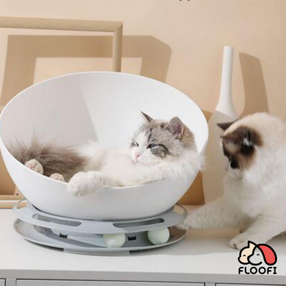 🐾 Floofi 2-in-1 Pet Bed & Turntable Toy for Cats🐱