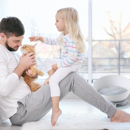 🐾 Floofi 2-in-1 Pet Bed & Turntable Toy for Cats🐱