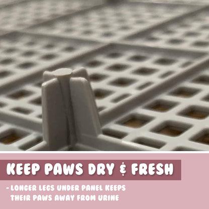 🐾 Dog Potty Training Tray