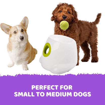 🎾 Automatic Dog Ball Launcher | Interactive Tennis Toy with 6 Balls 🐕