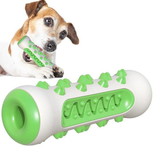 🐾 Squeaky Dog Toy